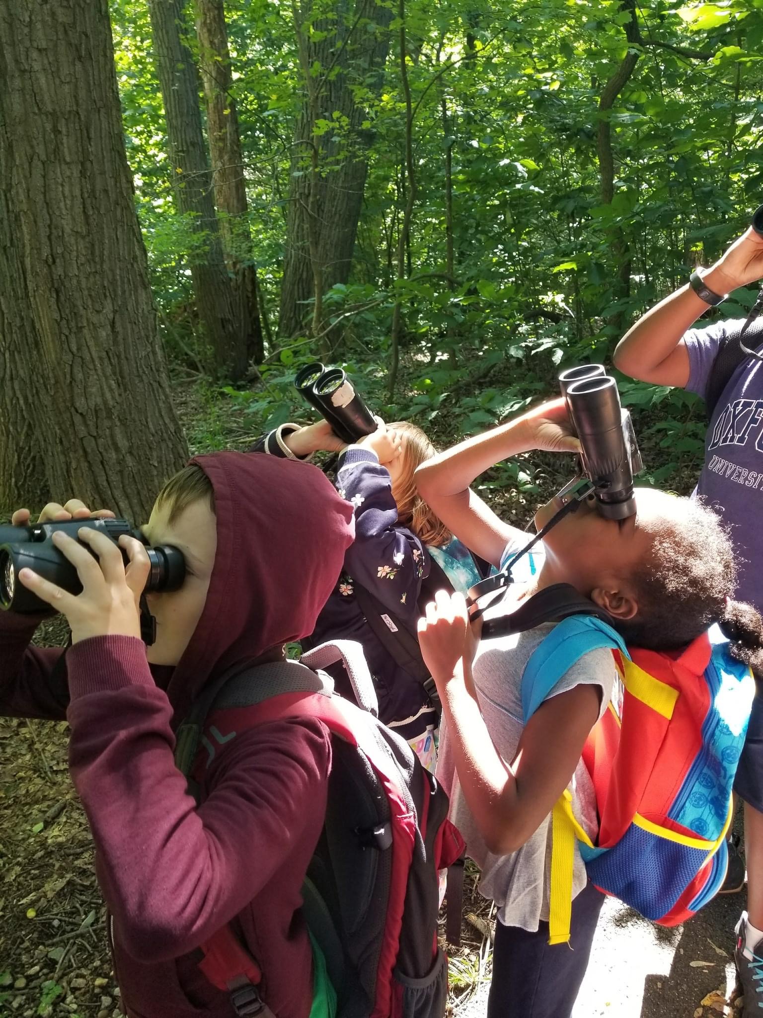 A group of children use binoculars to look for birds
